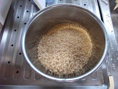 マクロビオテイック料理･玄米の炊き方１